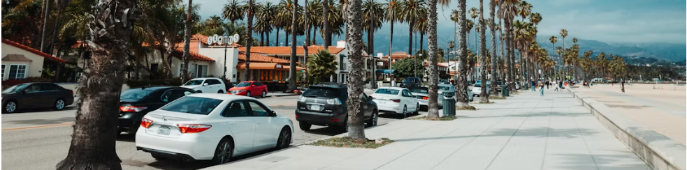 Palm-lined coastal street with parked rental cars